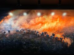 -罗红摄影艺术馆