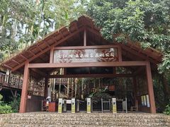 -七仙岭温泉国家森林公园