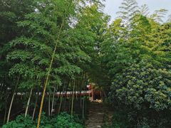 -宜兴龙背山森林公园