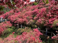 -木兰云雾山