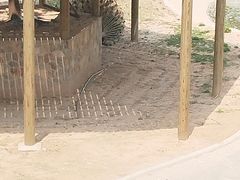-太原动物园