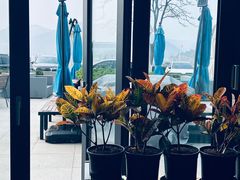 -JF Garden(渔人码头店)