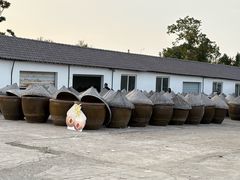 -苏州市吴中区光福窑上花果蜜饯厂