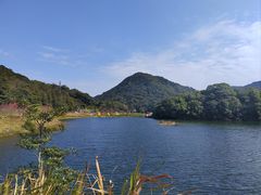 -广州市石门国家森林公园