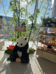 -IMON·HANSA潮玩玩偶毛绒玩具(通州万象汇店)