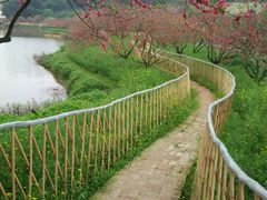 android_upload_pic-南国桃园旅游度假区