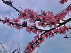 景点-堤角公园