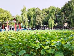 -四川大学(望江校区)