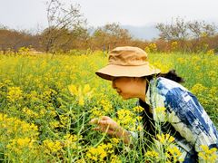 -天适樱花悠乐园