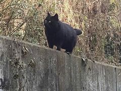 -85度C(南京珠江华海店)