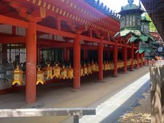 -奈良公园