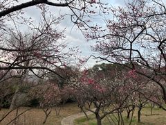 -无锡梅园公园
