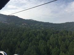 -鱼酷活鱼烤鱼(恒隆广场店)