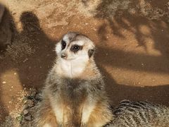 -森波拉奇妙世界