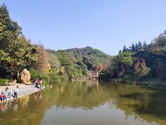 -云溪植物园