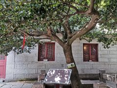 -青岛崂山太清宫