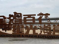-演武大桥观景平台