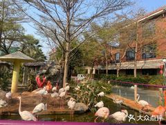 -灵玲国际马戏城