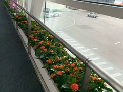 -厦门高崎国际机场-T3航站楼