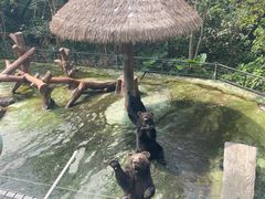 -深圳野生动物园