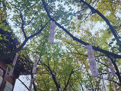 -西安大兴善寺