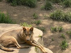 -哈尔滨北方森林动物园