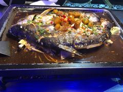 -炉鱼(平湖八佰伴店)