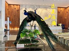 -西双版纳融创皇冠假日度假酒店