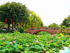 -广州莲花山旅游区