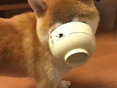 -L猪扒包(天河购书中心店)