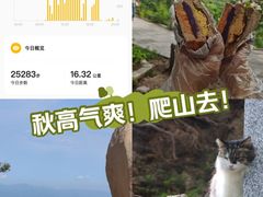 -北京凤凰岭
