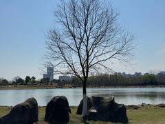 -滨湖塘西河公园