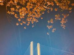 -上海南浦大桥长途旅游客运站