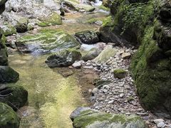 -牛背梁国家森林公园