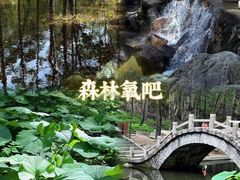 -洛阳白云山景区