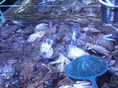 -聚盛源蒸汽海鲜火锅烤肉自助(巨川金海岸购物广场店)