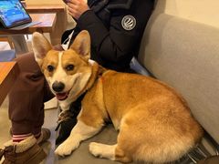 -小意思咖啡店(草桥店)