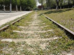 -永定河休闲森林公园