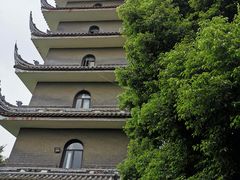 -生宇山珍野生菌汤锅•始于1999(双流古塔店)
