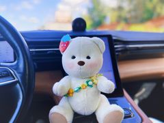 -农厨好味·温泉鹅·农家菜