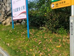 -东岳体育公园