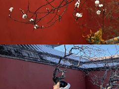 -四季民福烤鸭店(前门廊房二条店)