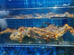 -前王院•巧克力海鲜市集餐厅(万平口店)