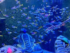 -三亚西岛海洋文化旅游区
