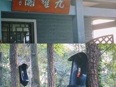 景点-九曜山