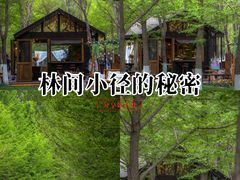 -长白岛森林公园