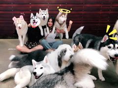 -TrueLove @ Neverland (Husky Cafe)