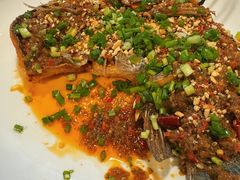 -草墩罗非鱼庄•野生菌•腊排骨(七星街上段店)