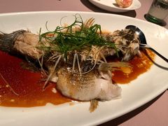 -新荣记(南京西路店)