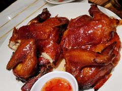 -稻香酒家·33年老字号·港式粤菜(富邦中心店)